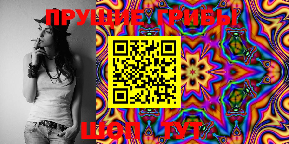 Кудрово  Галлюциногенные грибы GOLDEN TEACHER  Вход с VPN 
